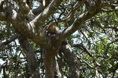 DSC_3961 (Large).JPG